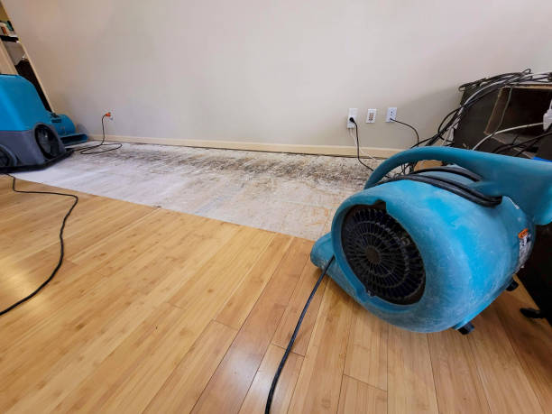 Reliable Basement Flood Cleanup contractor in Girard, KS by Hirex Water Damage