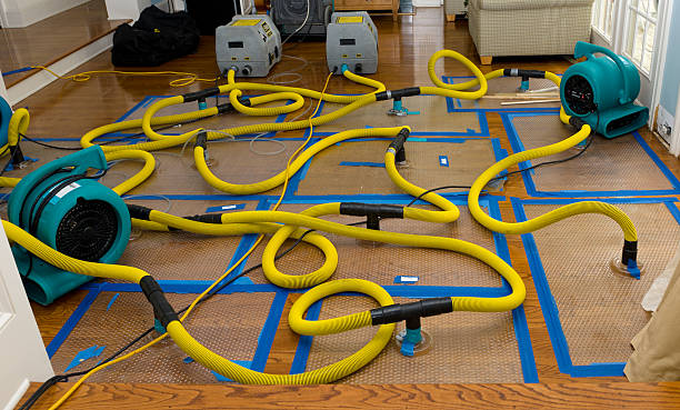 Professional Basement Flood Cleanup technician working in Girard, KS