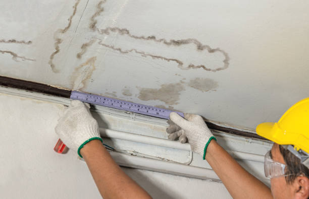 Affordable Water Damage Repair solutions in Girard, KS